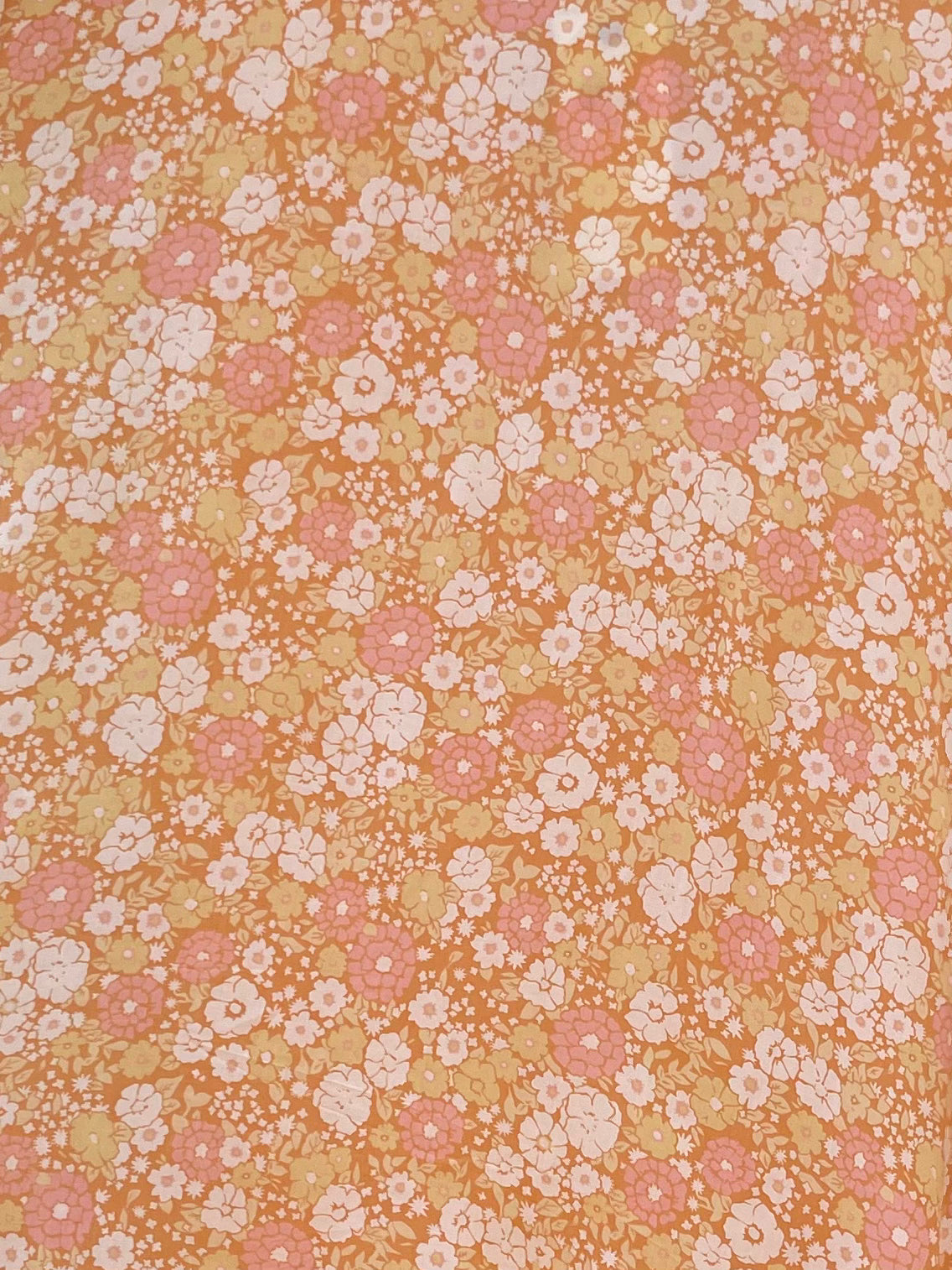 LAVANDA 25